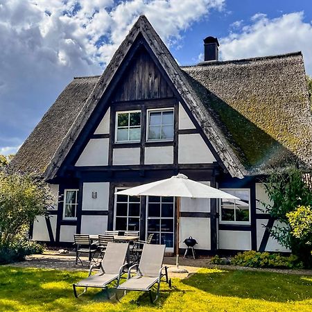 Ferienhaus Flieder In Liepe Rankwitz Ngoại thất bức ảnh